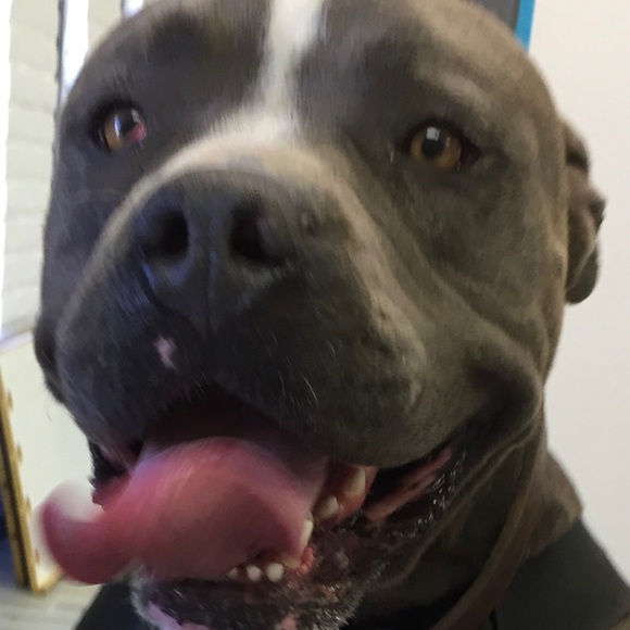 Meet your Posher, Mary - Picture 2 of 2